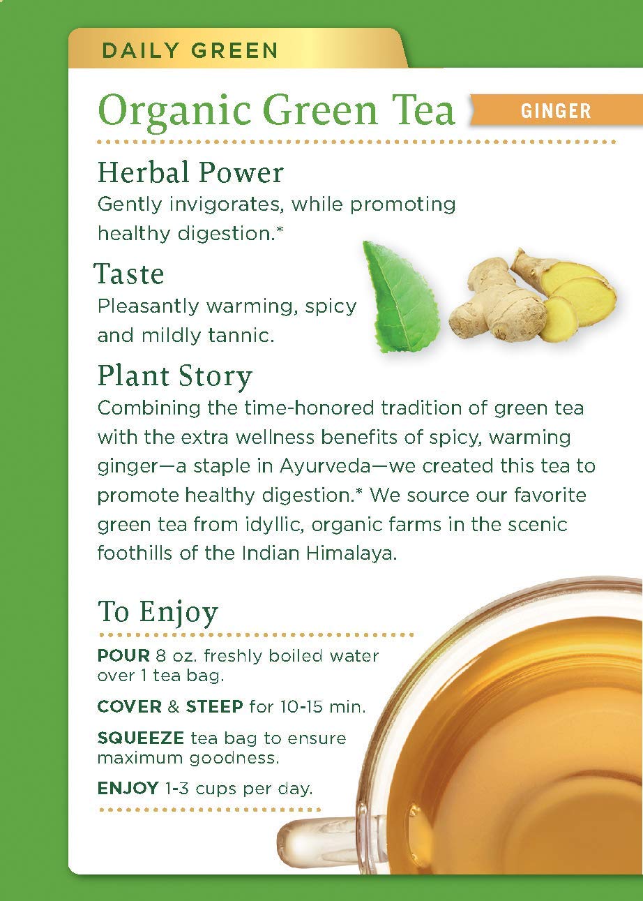 Traditional Medicinals Organic Green Tea Ginger Herbal Tea, Promotes Healthy Digestion, (Pack of 2) Total 32 Tea Bags - Image 3