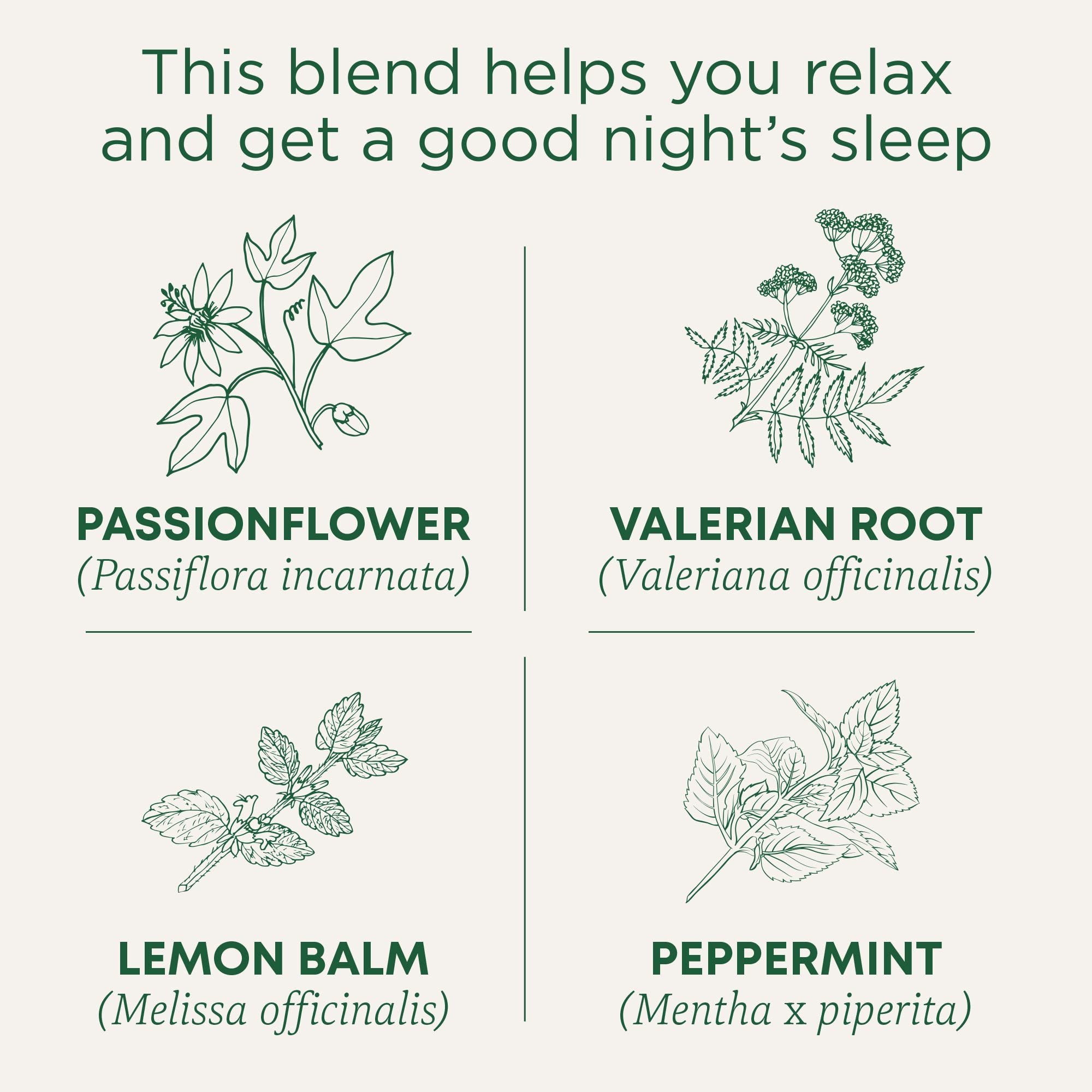 Traditional Medicinals Organic Nighty Night Extra Tea With Valerian Root for Relaxation, 16 Tea Bags (Pack of 1) - Image 3