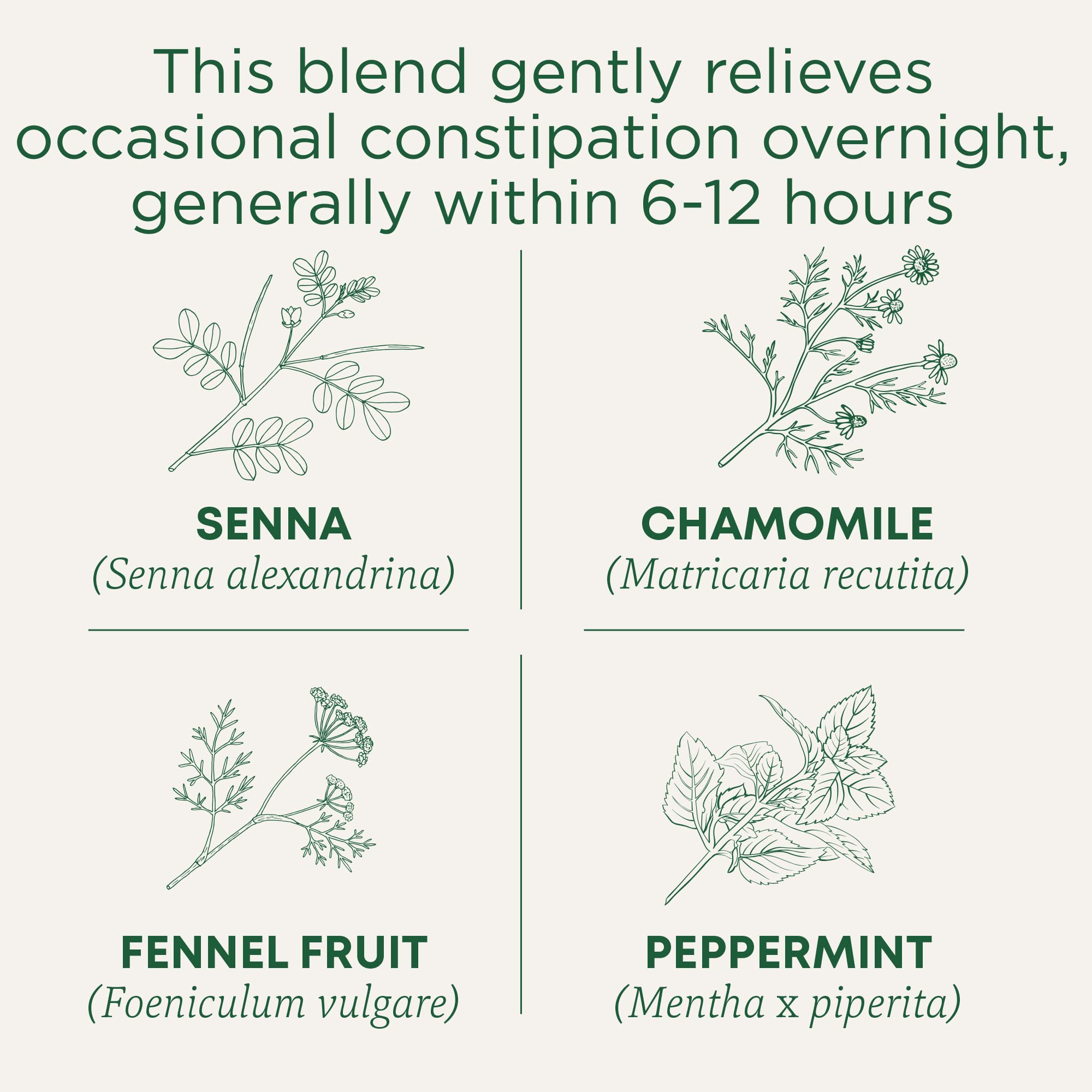 Traditional Medicinals Tea, Organic Smooth Move Chamomile, Relieves Occasional Constipation, Senna, 16 Tea Bags - Image 3