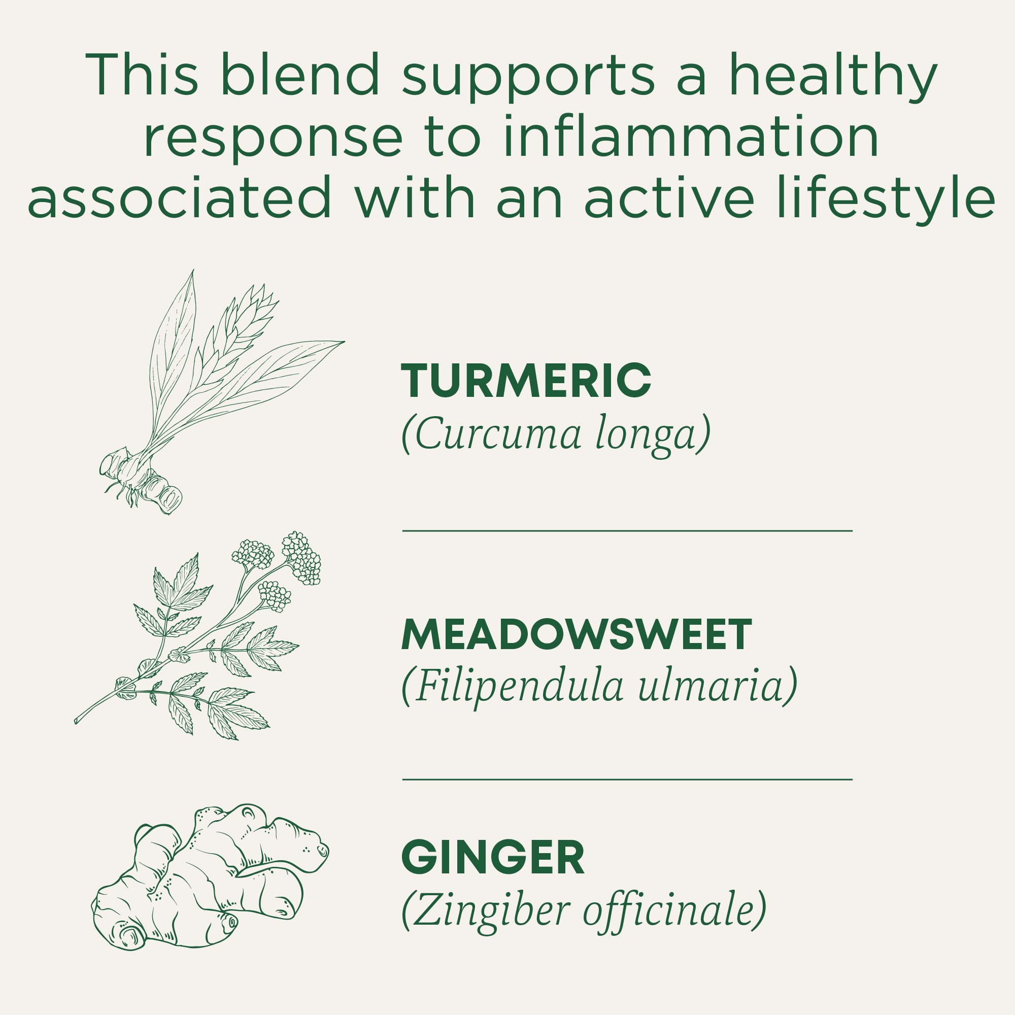 Traditional Medicinals Organic, Turmeric Tea with Ginger & Meadowsweet - Supports Normal Response to Inflammation - Kosher, Non-GMO, Caffeine-Free, Compostable - 16 Tea Bags - Image 5