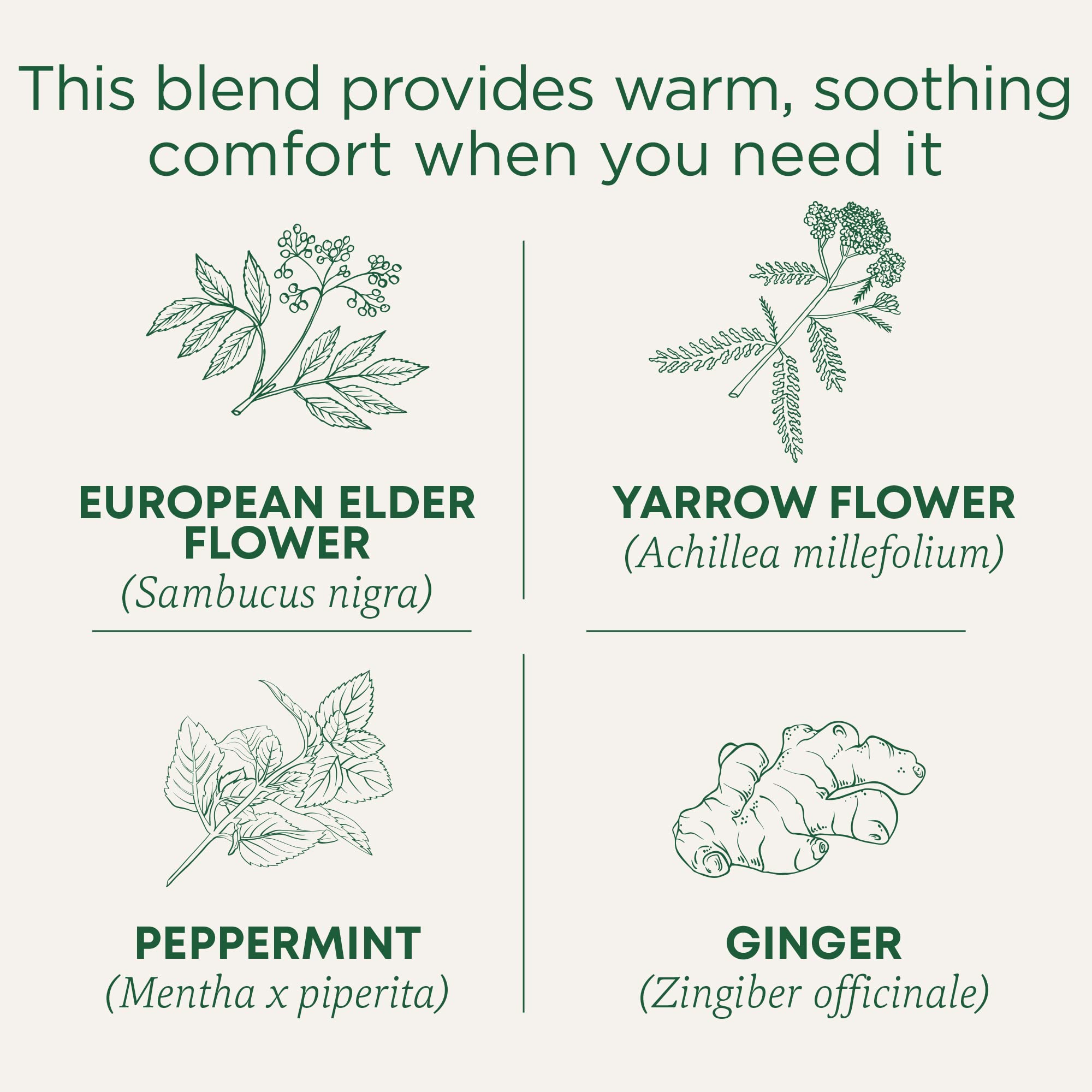 Traditional Medicinals Tea, Herbal Cold Care Seasonal Tea with Elderflower Spice, Kosher, Non-GMO, Caffeine-Free, Compostable - 96 Tea Bags (6 Pack) - Image 3