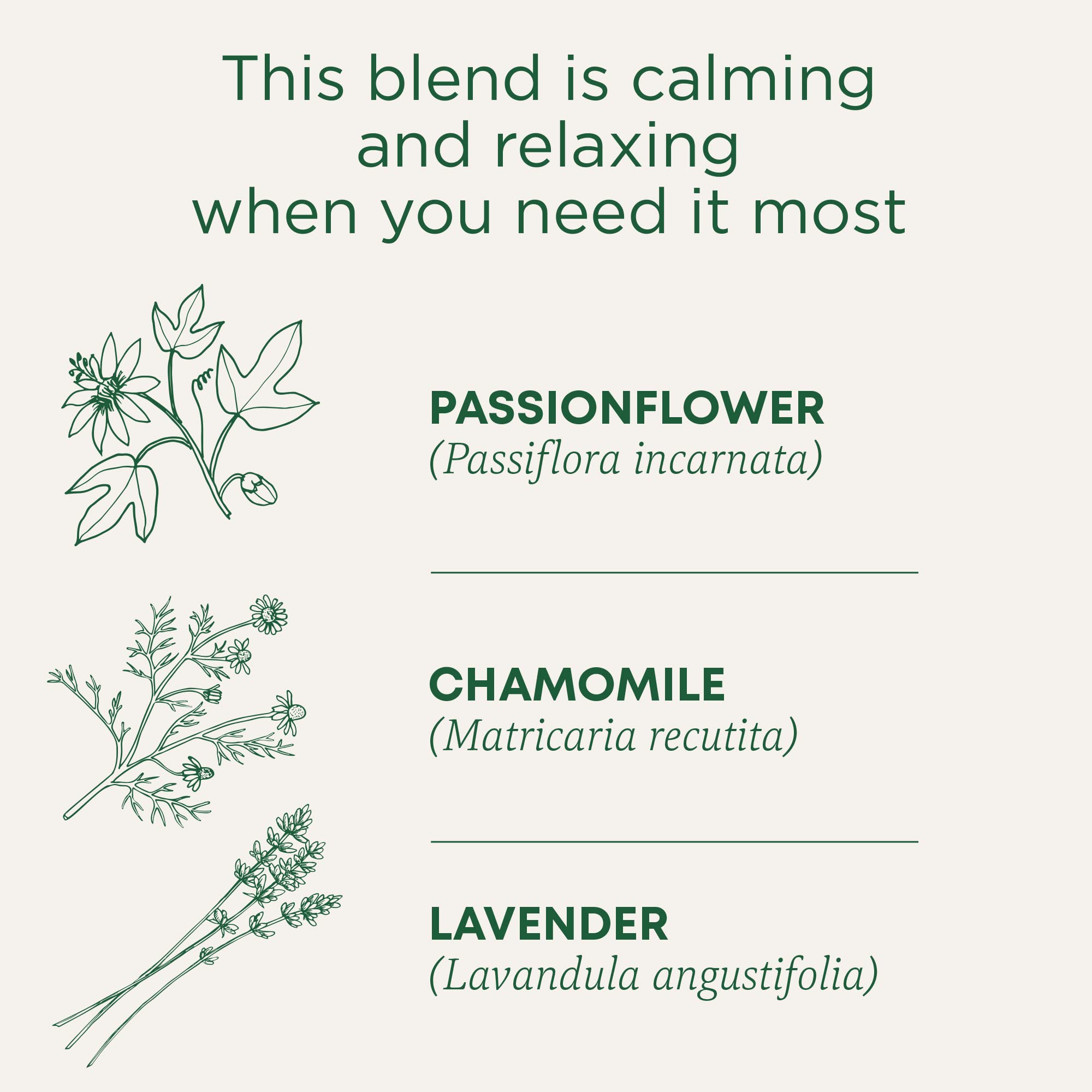 Traditional Medicinals Tea, Organic Cup of Calm, Calming & Relaxing with Chamomile Mint, Kosher, Non-GMO, Caffeine-Free, Compostable - 96 Tea Bags (6 Pack) - Image 3