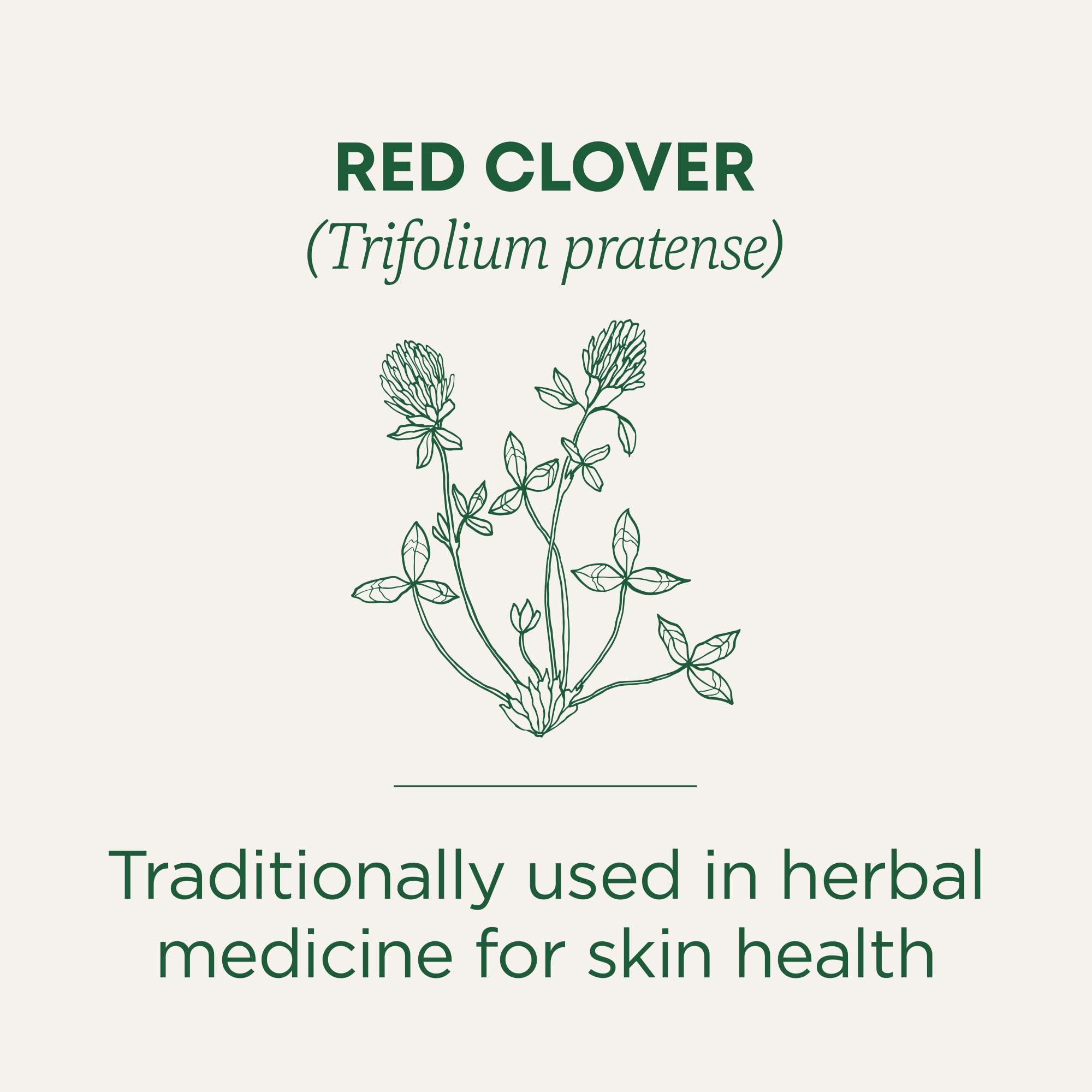 Traditional Medicinals Tea, Organic Red Clover - Supports Skin Health - Kosher, Non-GMO, Caffeine-Free - 16 Tea Bags - Image 4